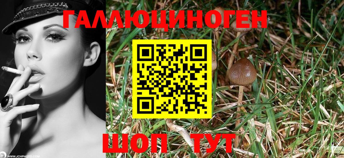 Галлюциногенные грибы GOLDEN TEACHER  Вход с VPN  Ступино 
