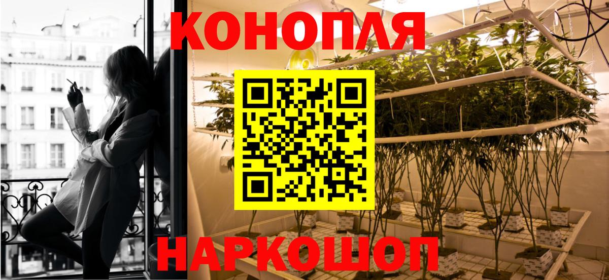 Бошки Шишки планчик  Вход с VPN  Ступино  Каннабис OG Kush 